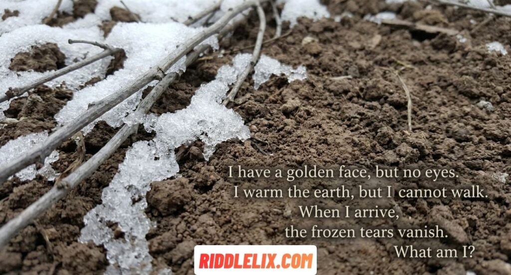 Spring Riddles